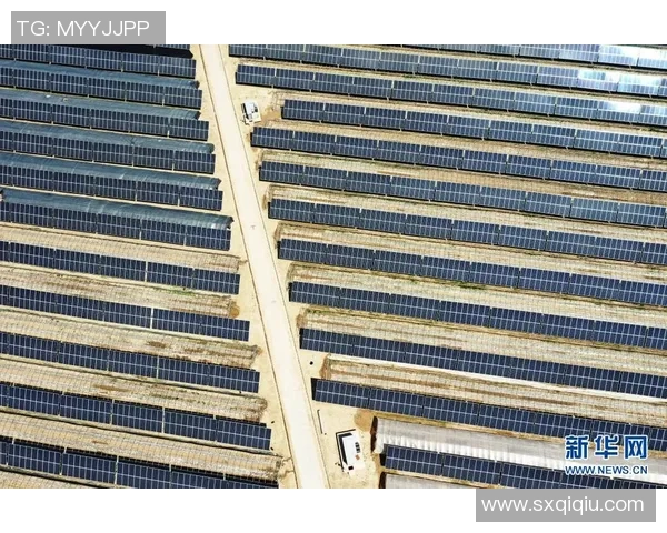 畅享农业科技盛宴cctv7在线直播带你领略乡村振兴新风貌