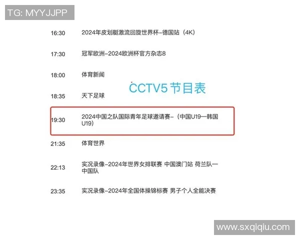 中国足球比赛直播观看渠道全攻略及平台推荐