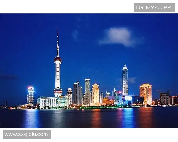 中国足球二十年回顾与展望的全景词典