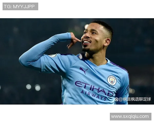 2017年曼城与埃弗顿精彩对决回放全程回顾与分析