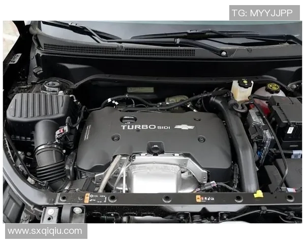 达姆狮与赫塔激战正酣谁能在这场对决中笑到最后