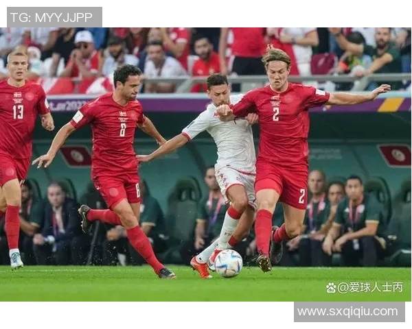 丹麦与法国比赛全场角球数统计分析及其影响因素探讨