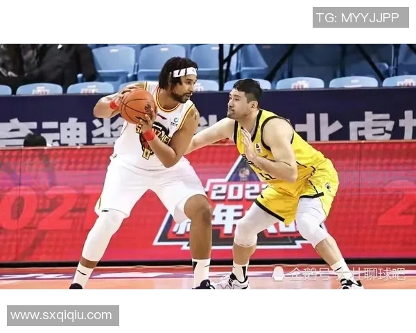 灰熊与小牛精彩对决直播全程回顾与赛后分析