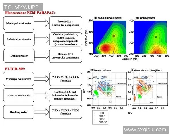 探索wkg在现代工作环境中的应用与影响分析
