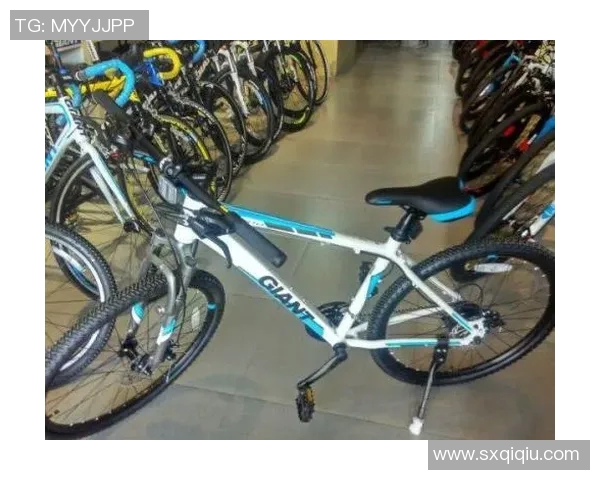 探索捷安特专卖店的骑行世界体验与服务全解析